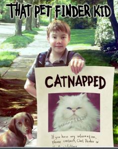 That Pet Finder Kid Catnapped