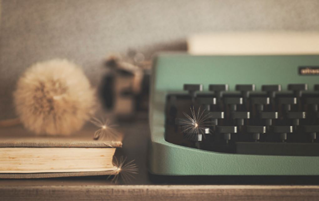 antique old typewriter dandelion puff