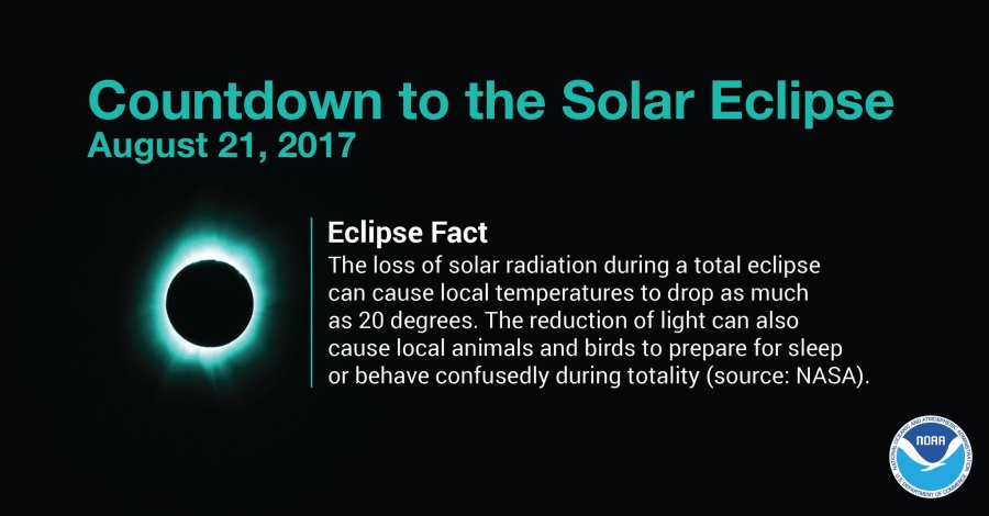 eclipse day 2017